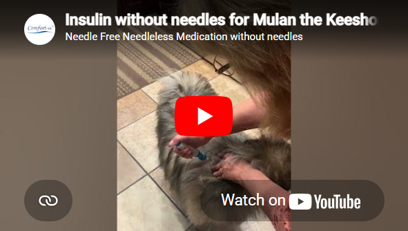 Load video: Comfort-In for Dogs with Diabetes